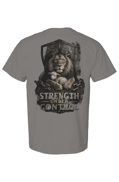 Comfort Colors Heavyweight T Shirt